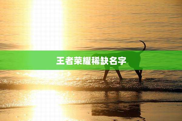 王者荣耀稀缺名字