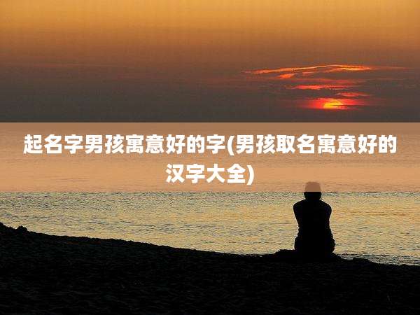 起名字男孩寓意好的字(男孩取名寓意好的汉字大全)