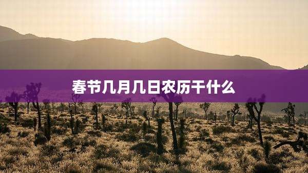春节几月几日农历干什么