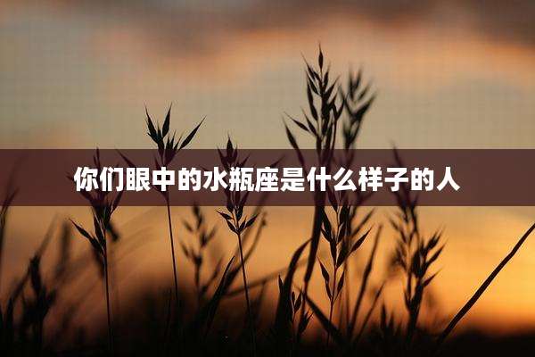 你们眼中的水瓶座是什么样子的人