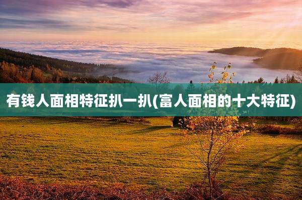 有钱人面相特征扒一扒(富人面相的十大特征)