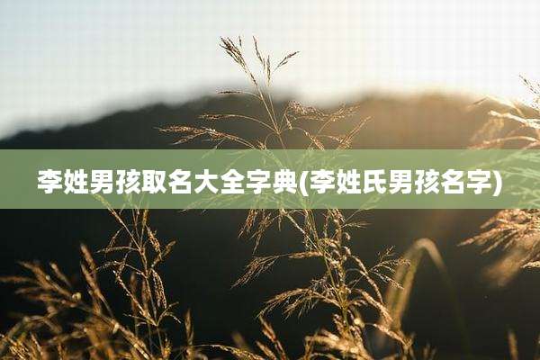 李姓男孩取名大全字典(李姓氏男孩名字)