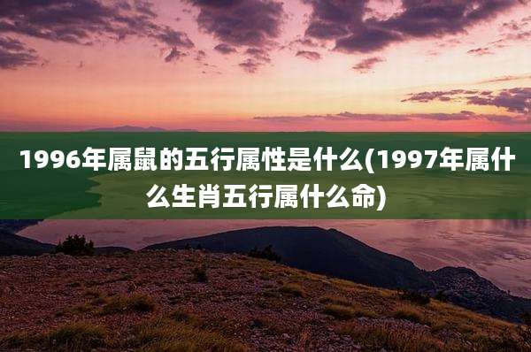 1996年属鼠的五行属性是什么(1997年属什么生肖五行属什么命)