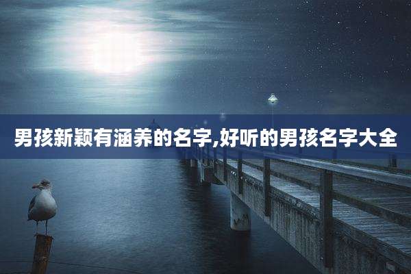 男孩新颖有涵养的名字,好听的男孩名字大全