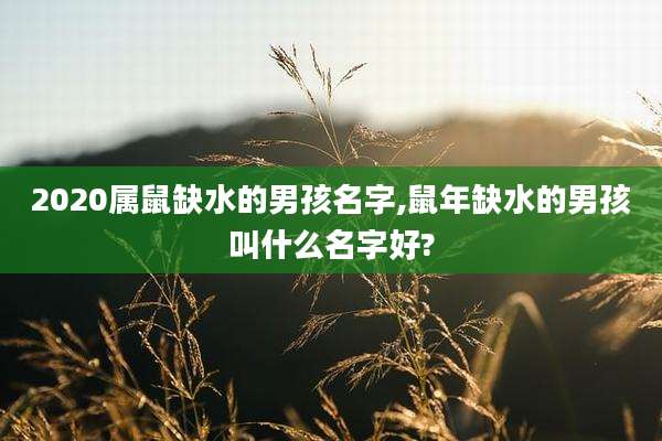 2020属鼠缺水的男孩名字,鼠年缺水的男孩叫什么名字好?
