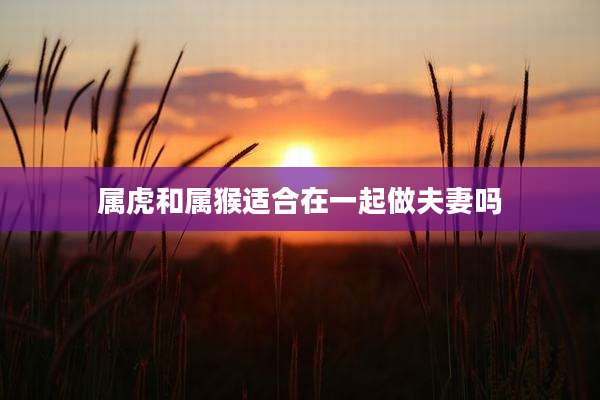 属虎和属猴适合在一起做夫妻吗