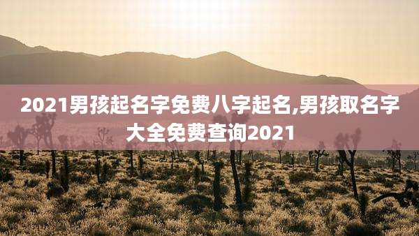 2021男孩起名字免费八字起名,男孩取名字大全免费查询2021