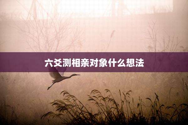 六爻测相亲对象什么想法