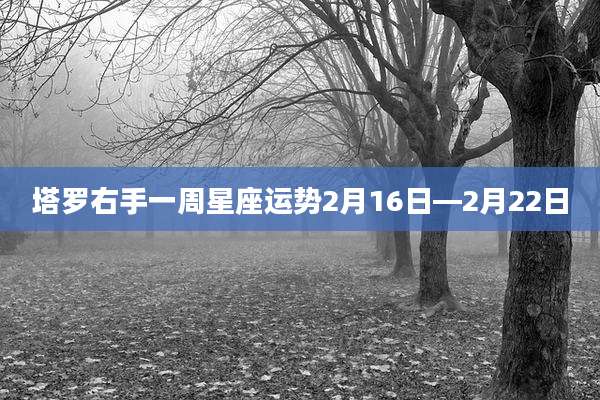 塔罗右手一周星座运势2月16日—2月22日