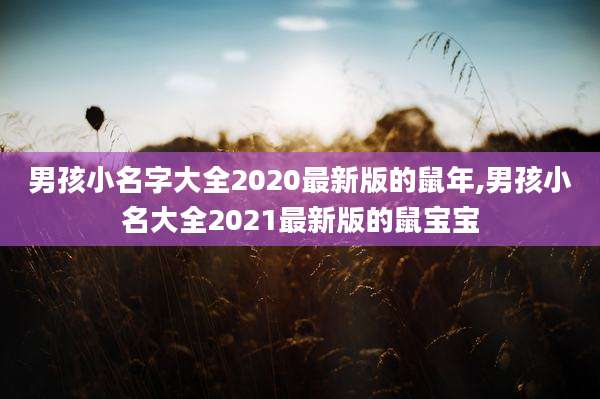 男孩小名字大全2020最新版的鼠年,男孩小名大全2021最新版的鼠宝宝