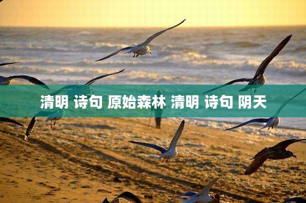 清明 诗句 原始森林 清明 诗句 阴天
