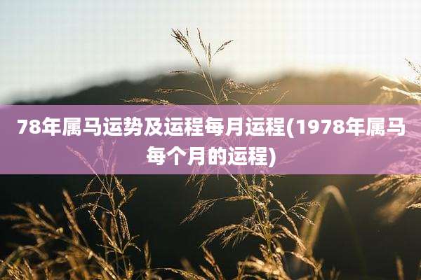 78年属马运势及运程每月运程(1978年属马每个月的运程)