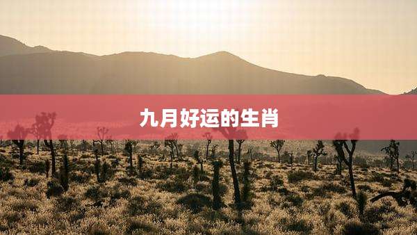 九月好运的生肖