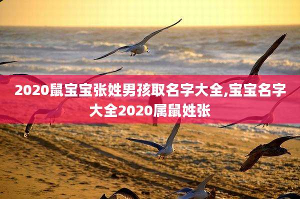 2020鼠宝宝张姓男孩取名字大全,宝宝名字大全2020属鼠姓张