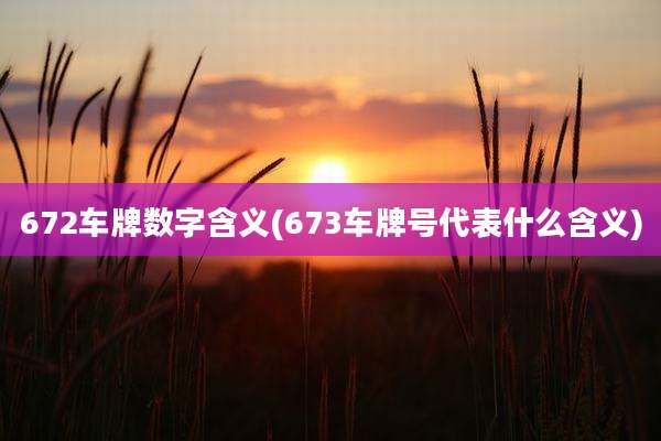 672车牌数字含义(673车牌号代表什么含义)