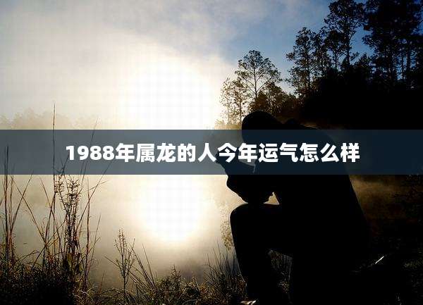 1988年属龙的人今年运气怎么样