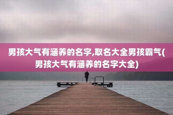 男孩大气有涵养的名字,取名大全男孩霸气(男孩大气有涵养的名字大全)