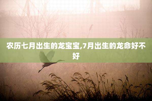 农历七月出生的龙宝宝,7月出生的龙命好不好