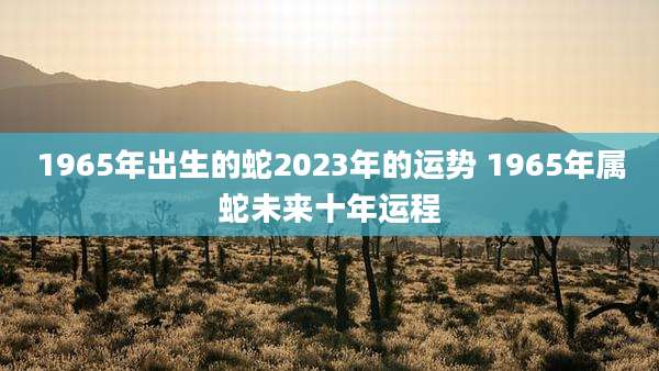 1965年出生的蛇2023年的运势 1965年属蛇未来十年运程