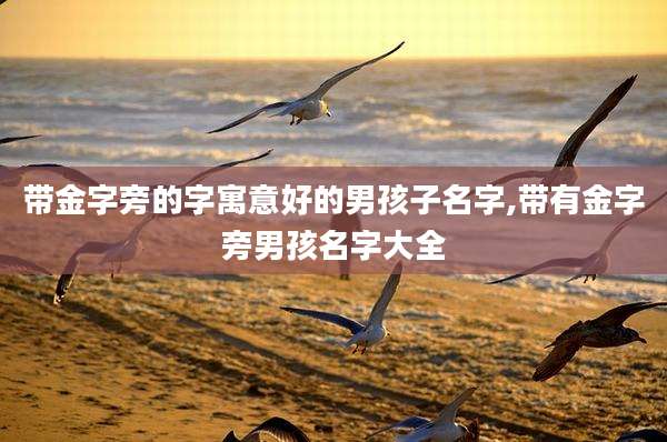 带金字旁的字寓意好的男孩子名字,带有金字旁男孩名字大全