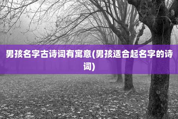 男孩名字古诗词有寓意(男孩适合起名字的诗词)