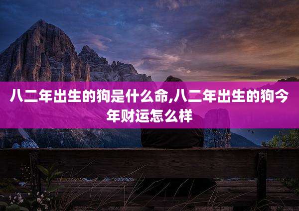 八二年出生的狗是什么命,八二年出生的狗今年财运怎么样