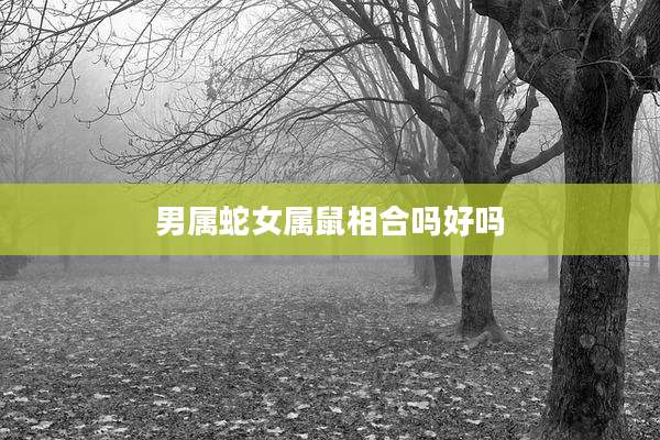 男属蛇女属鼠相合吗好吗