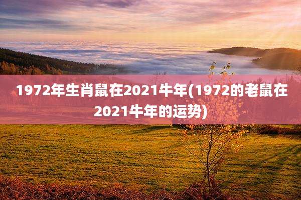 1972年生肖鼠在2021牛年(1972的老鼠在2021牛年的运势)
