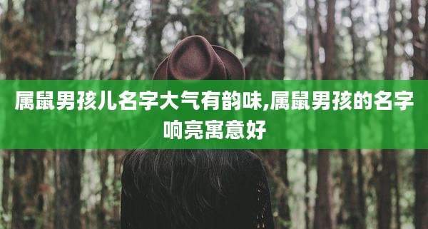 属鼠男孩儿名字大气有韵味,属鼠男孩的名字响亮寓意好