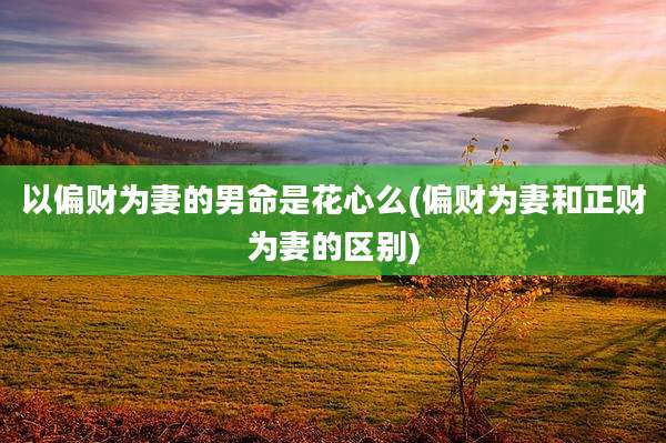 以偏财为妻的男命是花心么(偏财为妻和正财为妻的区别)