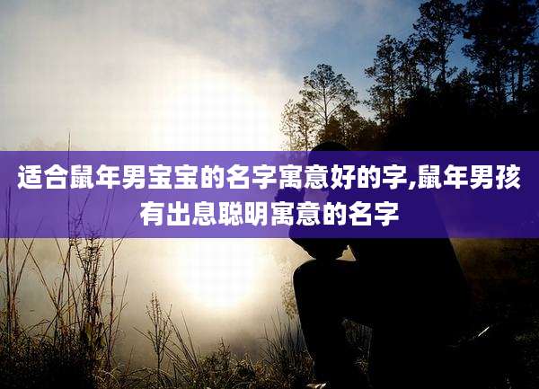 适合鼠年男宝宝的名字寓意好的字,鼠年男孩有出息聪明寓意的名字