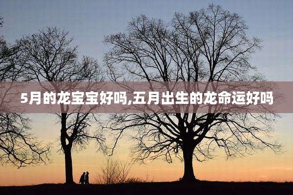 5月的龙宝宝好吗,五月出生的龙命运好吗