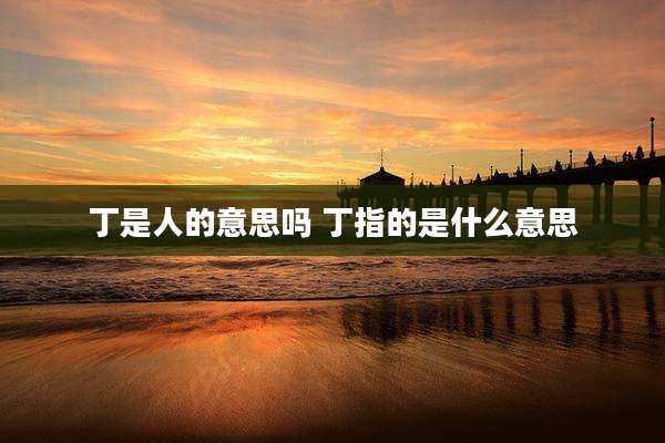 丁是人的意思吗 丁指的是什么意思