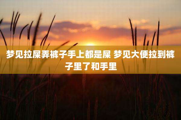 梦见拉屎弄裤子手上都是屎 梦见大便拉到裤子里了和手里