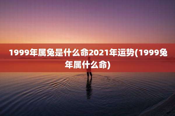 1999年属兔是什么命2021年运势(1999兔年属什么命)