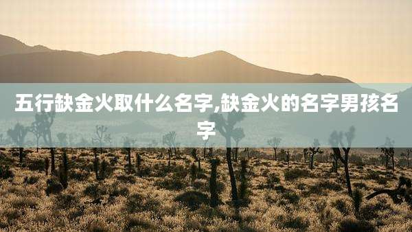 五行缺金火取什么名字,缺金火的名字男孩名字