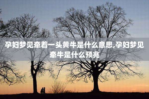 孕妇梦见牵着一头黄牛是什么意思,孕妇梦见牵牛是什么预兆