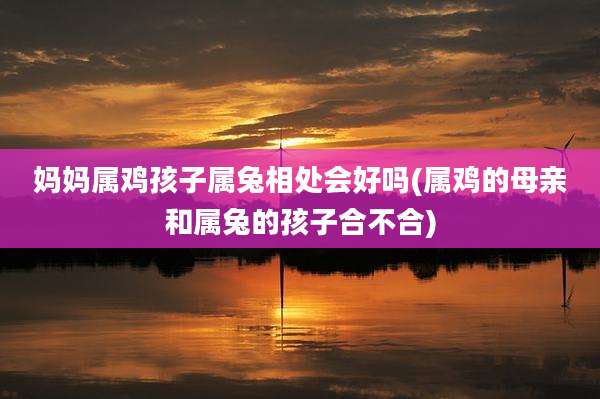 妈妈属鸡孩子属兔相处会好吗(属鸡的母亲和属兔的孩子合不合)