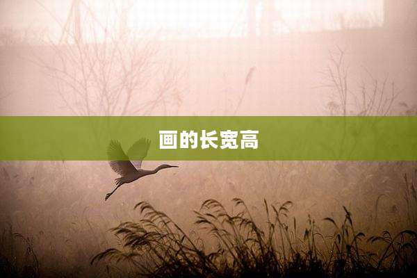 画的长宽高