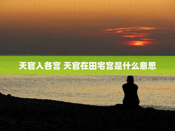 天官入各宫 天官在田宅宫是什么意思
