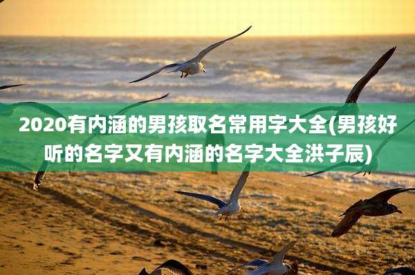 2020有内涵的男孩取名常用字大全(男孩好听的名字又有内涵的名字大全洪子辰)