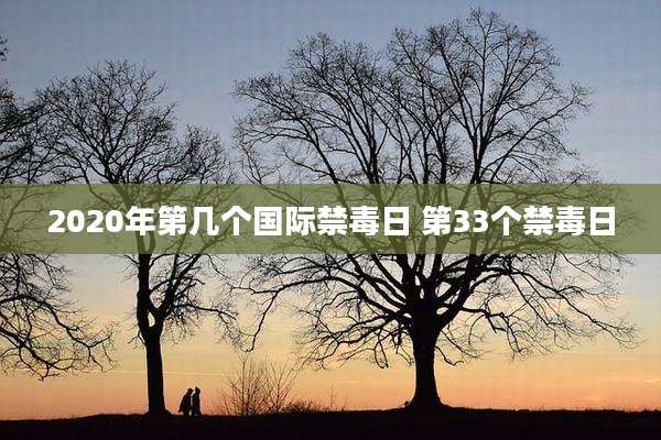 2020年第几个国际禁毒日 第33个禁毒日