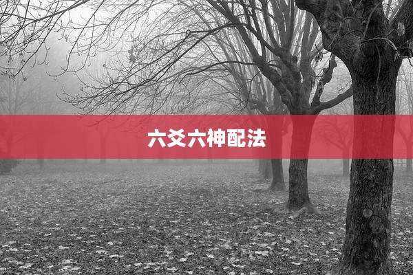 六爻六神配法