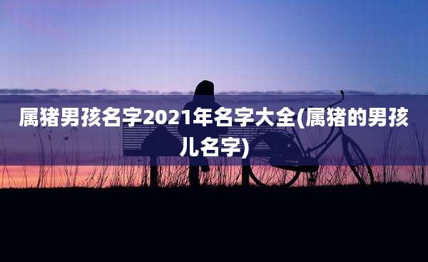 属猪男孩名字2021年名字大全(属猪的男孩儿名字)