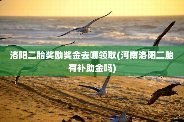 洛阳二胎奖励奖金去哪领取(河南洛阳二胎有补助金吗)