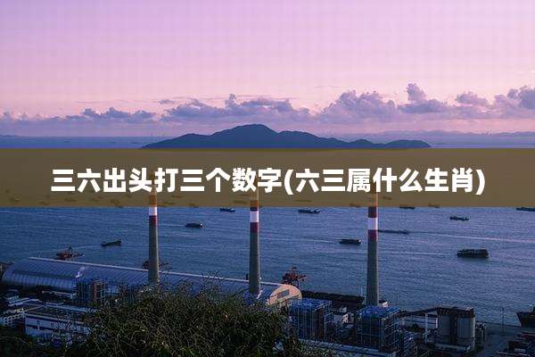 三六出头打三个数字(六三属什么生肖)