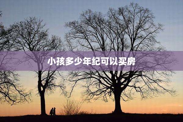 小孩多少年纪可以买房