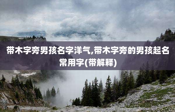 带木字旁男孩名字洋气,带木字旁的男孩起名常用字(带解释)