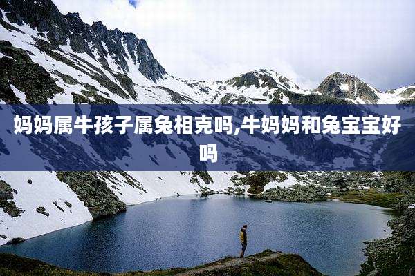妈妈属牛孩子属兔相克吗,牛妈妈和兔宝宝好吗