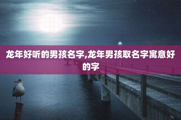 龙年好听的男孩名字,龙年男孩取名字寓意好的字